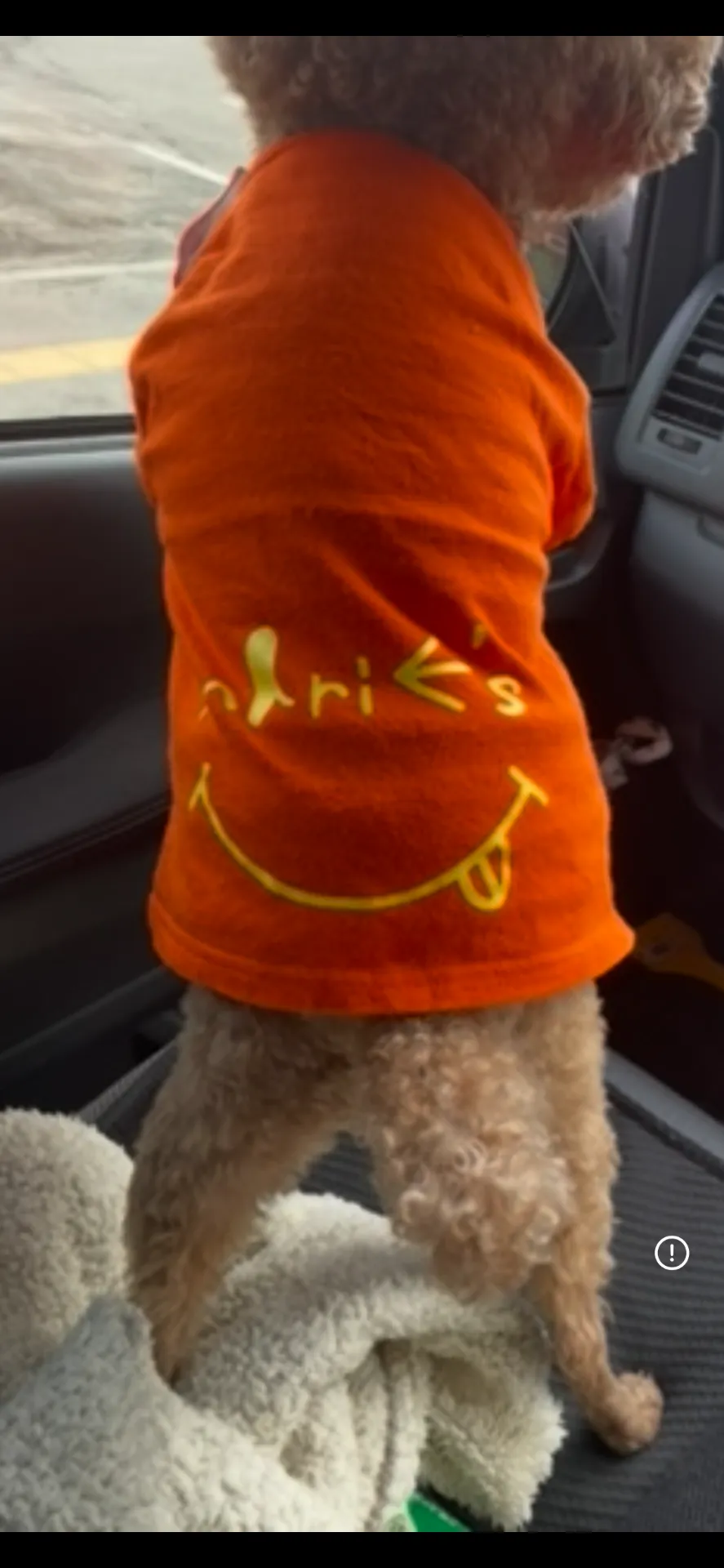 「Learn English with Ponta」-子供から大人まで